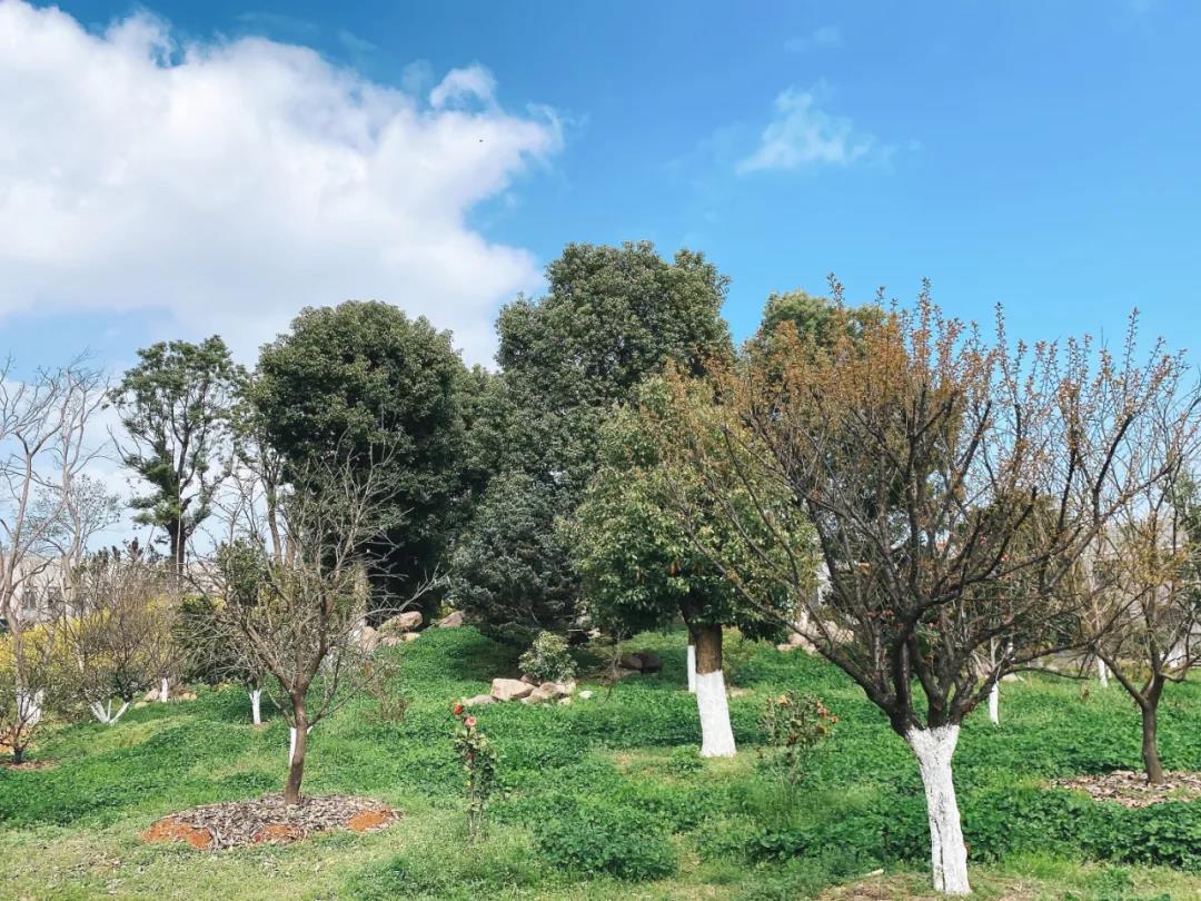 風(fēng)景這邊獨(dú)好!東大環(huán)境美景一覽,請查收