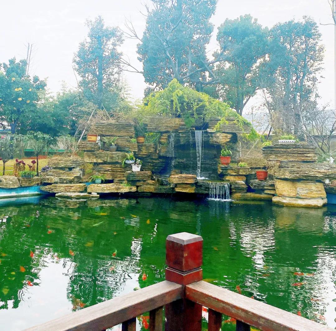 風(fēng)景這邊獨(dú)好!東大環(huán)境美景一覽,請查收