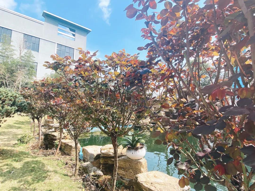 風(fēng)景這邊獨(dú)好!東大環(huán)境美景一覽,請查收