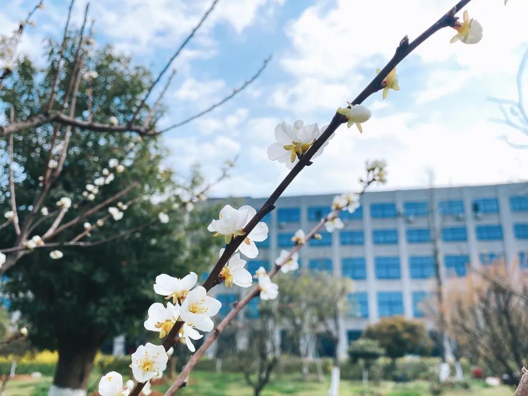 風(fēng)景這邊獨(dú)好!東大環(huán)境美景一覽,請查收