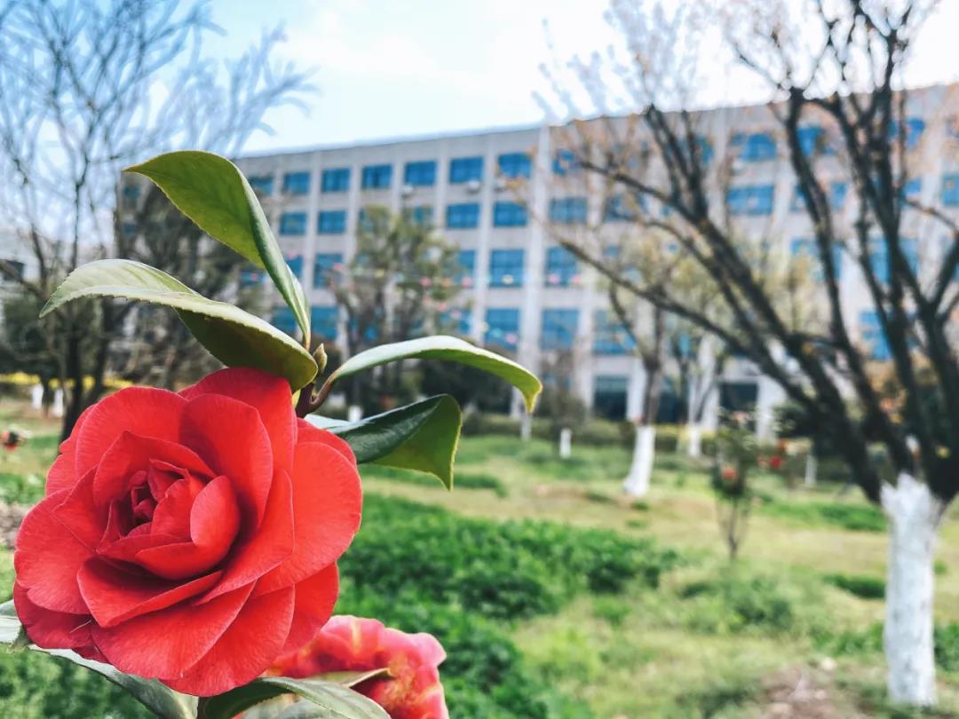 風(fēng)景這邊獨(dú)好!東大環(huán)境美景一覽,請查收